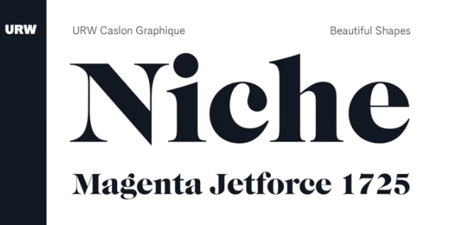 [Myfonts] URW Caslon Graphique Font (2021)_0.png